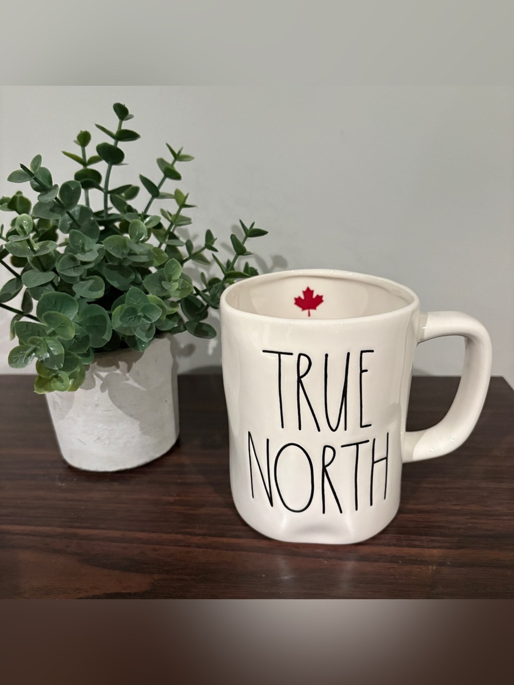 RAE DUNN True North mug